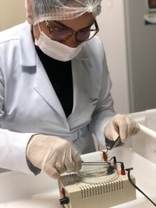 Pesquisadoras destacam que a obtenção de uma formulação farmacêutica associada às moléculas com resultados mais significativos está em andamento - Foto: divulgação
