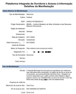 Boletim de Ocorrência por maus-tratos ao jumento foi aberto. Foto: Reprodução.