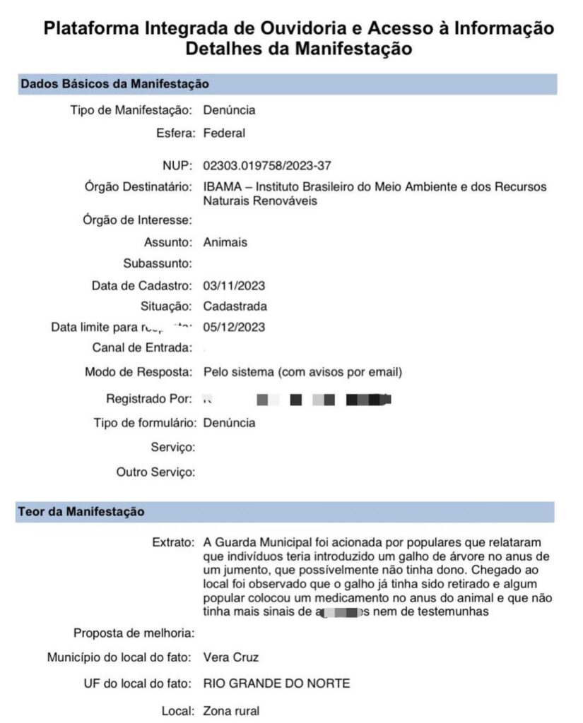 Boletim de Ocorrência por maus-tratos ao jumento foi aberto. Foto: Reprodução.
